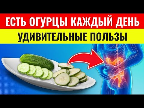 Видео: После 60 ешь огурец каждый день — 8 неожиданных эффектов, о которых врачи молчат! | Здоровье пожилых