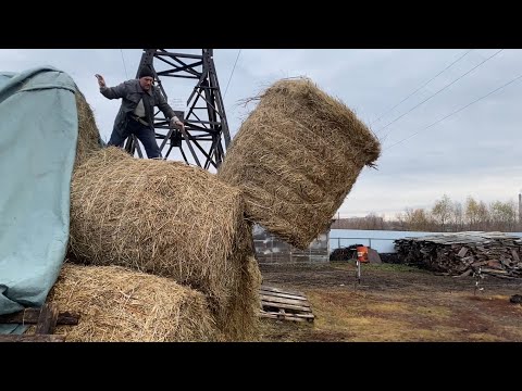 Видео: Сломался трактор, теперь всё руками, привыкли к хорошему. 