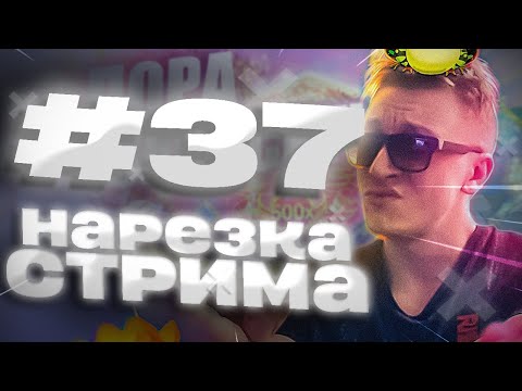 Видео: НАРЕЗКА СО СТРИМА 37 / ЗАНОСЫ НЕДЕЛИ / ВЕЗУЧИЙ СВИТ / MEGADON 1000X