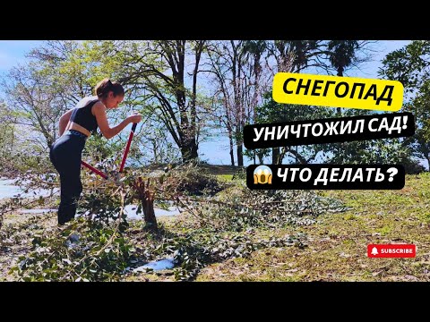 Видео: #23 СНЕГ ПОЛОМАЛ САД! Обрезка деревьев, строим забор и готовим манты