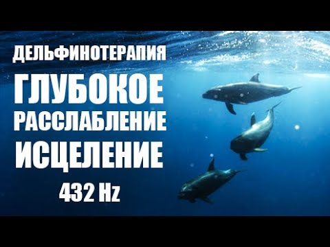 Видео: ДЕЛЬФИНОТЕРАПИЯ ✧ Целебные звуки дельфинов ✧ DOLPHIN THERAPY ✧ Healing sounds of dolphins ✧ 432 Hz