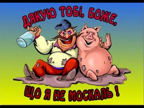 Видео: Мошенники всех мастей (сборник 67)