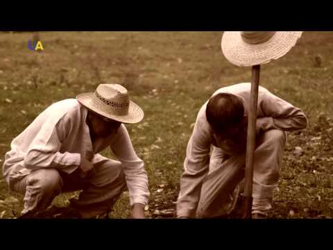 Видео: Ночь в музее. Мартиновский клад