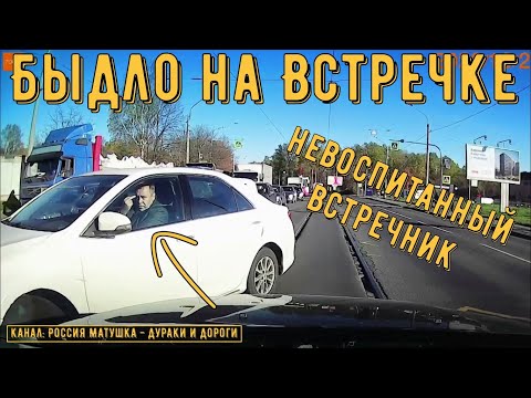 Видео: Быдло на встречке #163! Подборка на видеорегистратор!