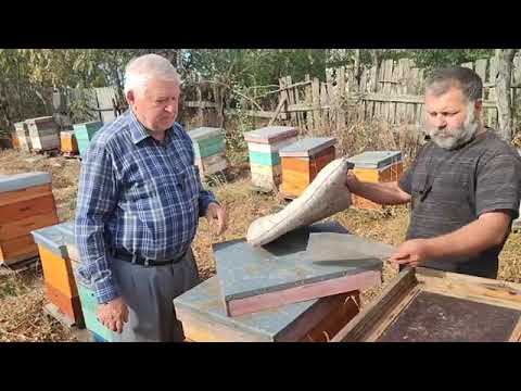 Видео: Измайлов.Подводим итоги сезона на пасеке у Паши.