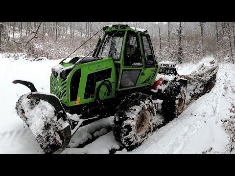 Видео: Как снег может усложнить работу, Валка бука Orvex lt 100, Amles, Stihl ms 500i, Лесные работы