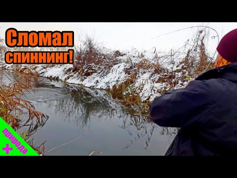 Видео: ОРЕЛ НАПАЛ НА МЫШЬ!🐀Рыба клюет по 5 раз!! Сломал спиннинг на рыбалке😫