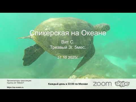 Видео: 31.10.25г. Вит С., трезвый 3г. 5мес. Тема: "Личный духовный опыт и духовное пробуждение".