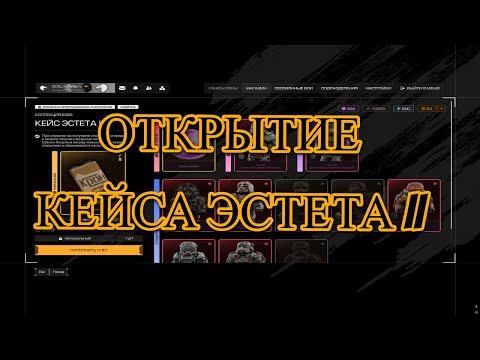 Видео: Открытие Кейса Эстета II - STALCRAFTX
