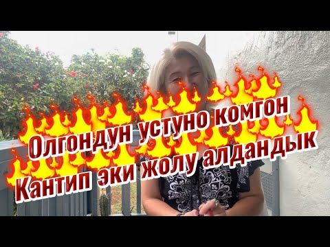 Видео: Америкада кантип бир эмес эки жолу алдандык🤪 Олгондун кстуно комгон деген макалдай болуп😱