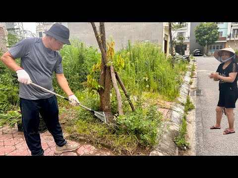 Видео: УДОВЛЕТВОРЕНИЕ! Мать-одиночка обрадовалась, когда расчистила заросшую траву перед домом