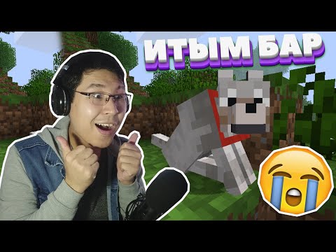 Видео: Менің жаңа итым 😍