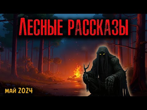 Видео: ЛЕСНЫЕ РАССКАЗЫ | Страшные истории
