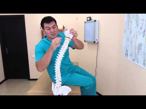 Видео: Шейный лордоз сглажен. Почему и чем это опасно?