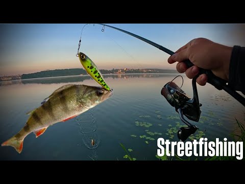 Видео: STREETFISHING на ТЕРНОПІЛЬСЬКОМУ ОЗЕРІ|Shimano 22 Soare SS S80L-S