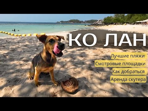 Видео: КО ЛАН! Самое Красивое Место Паттайи. Ищем Лучший Пляж