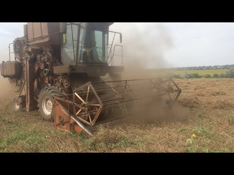 Видео: Колос СК - 6 на уборке гороха 2017