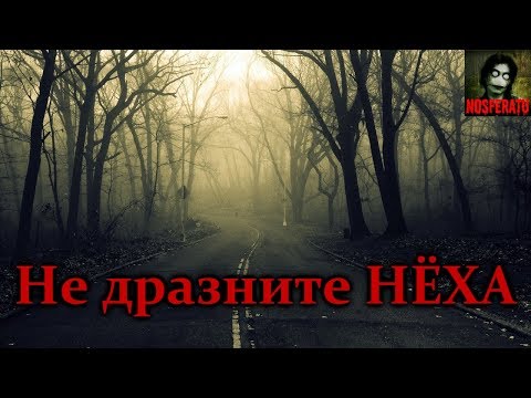 Видео: Истории на ночь - Не дразните НЁХА