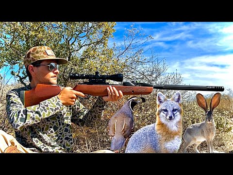 Видео: Пневматическое ружье с поломанным стволом Hunt & Cook
