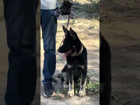 Видео: 30 июля 2025 г.