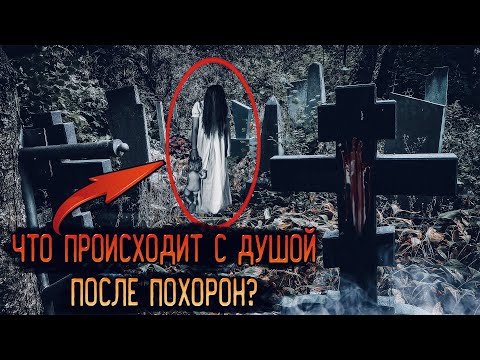 Видео: Записали ЭГФ на КЛАДБИЩЕ без ШУМОВ / Что происходит с душой после похорон?