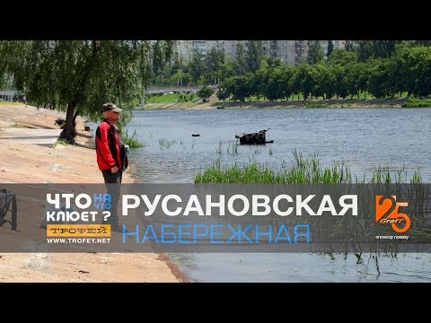 Видео: #Рыбалка в Киеве | Что на Что Клюет? c Владимиром Журавлевым