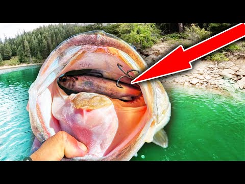 Видео: Вы НИКОГДА не будете ловить рыбу в холодной воде так же, как раньше, после просмотра этого...