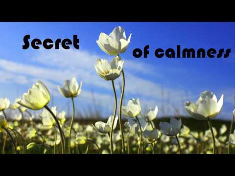 Видео: Forget about your problems. Immerse yourself in the magic of life/ Забудь о проблемах. Окунись в мир