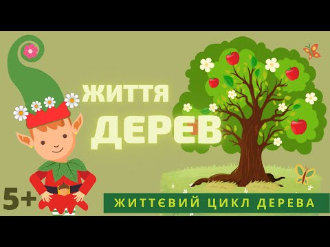 Видео: Життя дерев. Дітям про цикл дерева. Будова.  Листя. Квіти. Плоди. Насіння. Користь для людей.