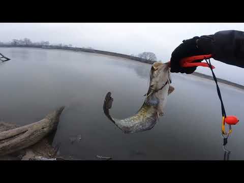 Видео: РЫБАКА В ГЛУХОЗИМЬЕ/ СПИННИНГ На МОСКВА - РЕКЕ.#NEKFiSh