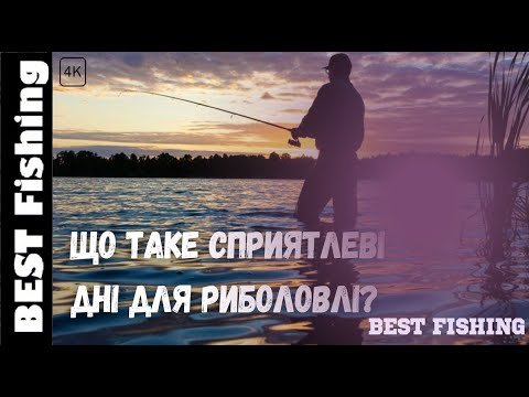 Видео: ЩО ТАКЕ СПРИЯТЛЕВІ ДНІ ДЛЯ РИБОЛОВЛІ? #порадирибалкам #bestfishing #київрибалка #fishing2024