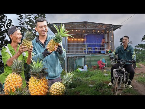 Видео: Наконец-то в нашем доме есть электричество! Ананасы по всему дому приносят дяде Маню хороший доход!