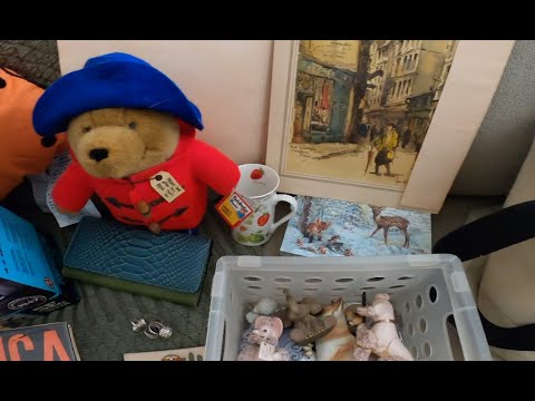 Видео: Еще одна встреча с «дамой-драгоценностью»!!!