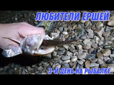Видео: РЫБАЛКА ОСЕНЬЮ. ЛОВЛЯ НАЛИМА НА ДОНКИ! РЫБАЛКА НА РЕКЕ КАМА!