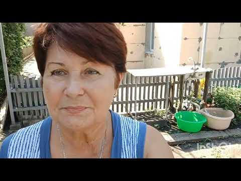 Видео: Блинчики с 🍎 яблоками.
