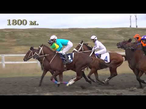 Видео: Чурапчыга И.Н. Аммосов 75 сааһын туолар үбүлүөйүгэр анаммыт өрөспүүбүлүкэтээҕи ат сүүрдүүтэ