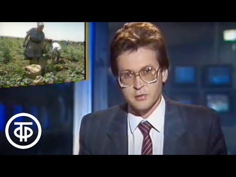 Видео: Время. Эфир 14.07.1991