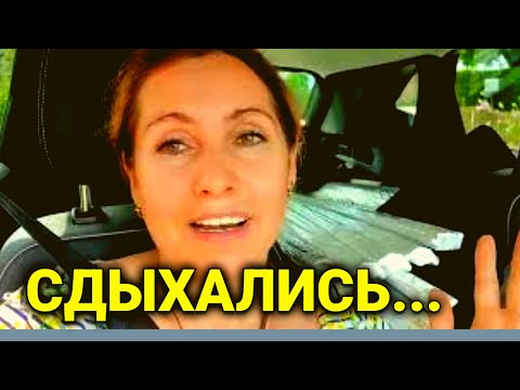 Видео: заключительная уборка квартиры в Швейцарии | сколько стоит убрать квартиру