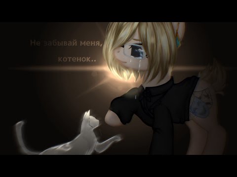 Видео: Наш последний Новый Год, Котята..❤🐾