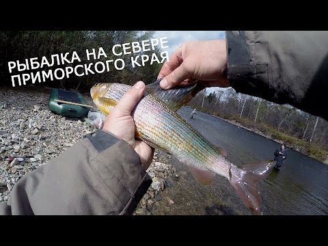 Видео: Рыбалка на Севере Приморского края (приключение)