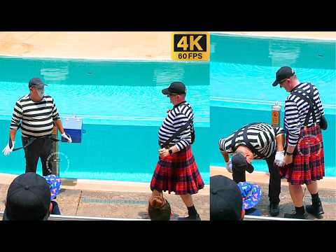 Видео: Мим Том заставит вас плакать от смеха 😂🤣 #tomthemime #seaworldmime
