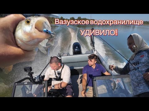 Видео: Откуда столько окуня?🫣