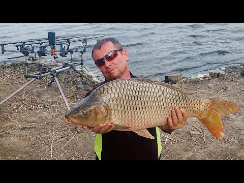 Видео: Багаття. Юшка. Велика риба. Риболовля на коропа.