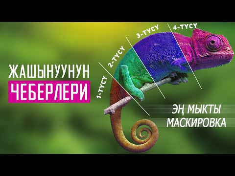 Видео: Профессионалдык маскировка