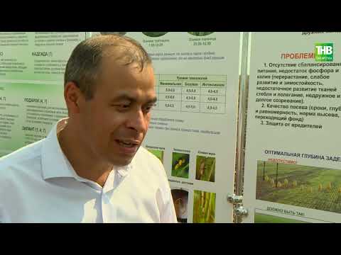 Видео: Туган җир 12/08/2022