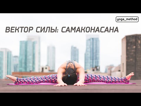 Видео: Вектор силы. Самаконасана