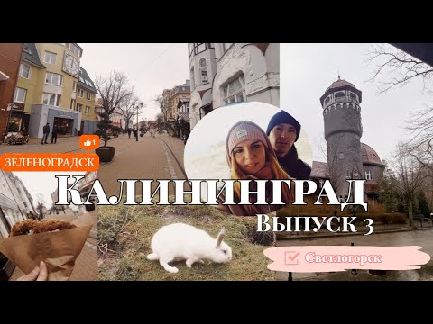 Видео: Калининград2024Выпуск #3 Зеленоградск.Светлогорск.То ради чего стоит побывать в Калининграде