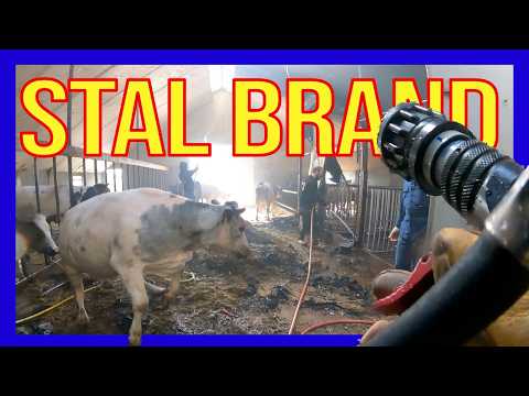 Видео: Пожар в сарае - ДОБРОВОЛЬЦЫ ГОЛЛАНДСКИЕ ПОЖАРНЫЕ -