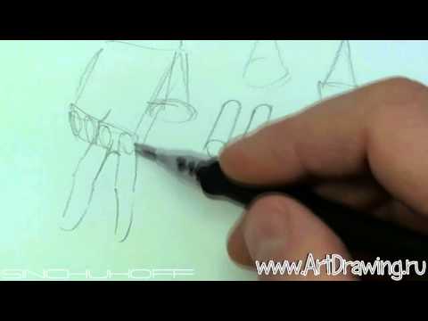 Видео: как нарисовать кисти рук