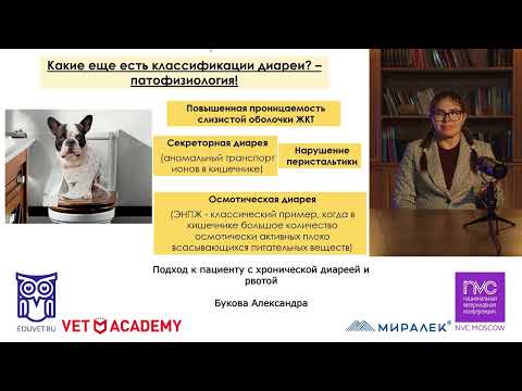 Видео: Подход к пациенту с хронической диареей и рвотой, Букова Александра